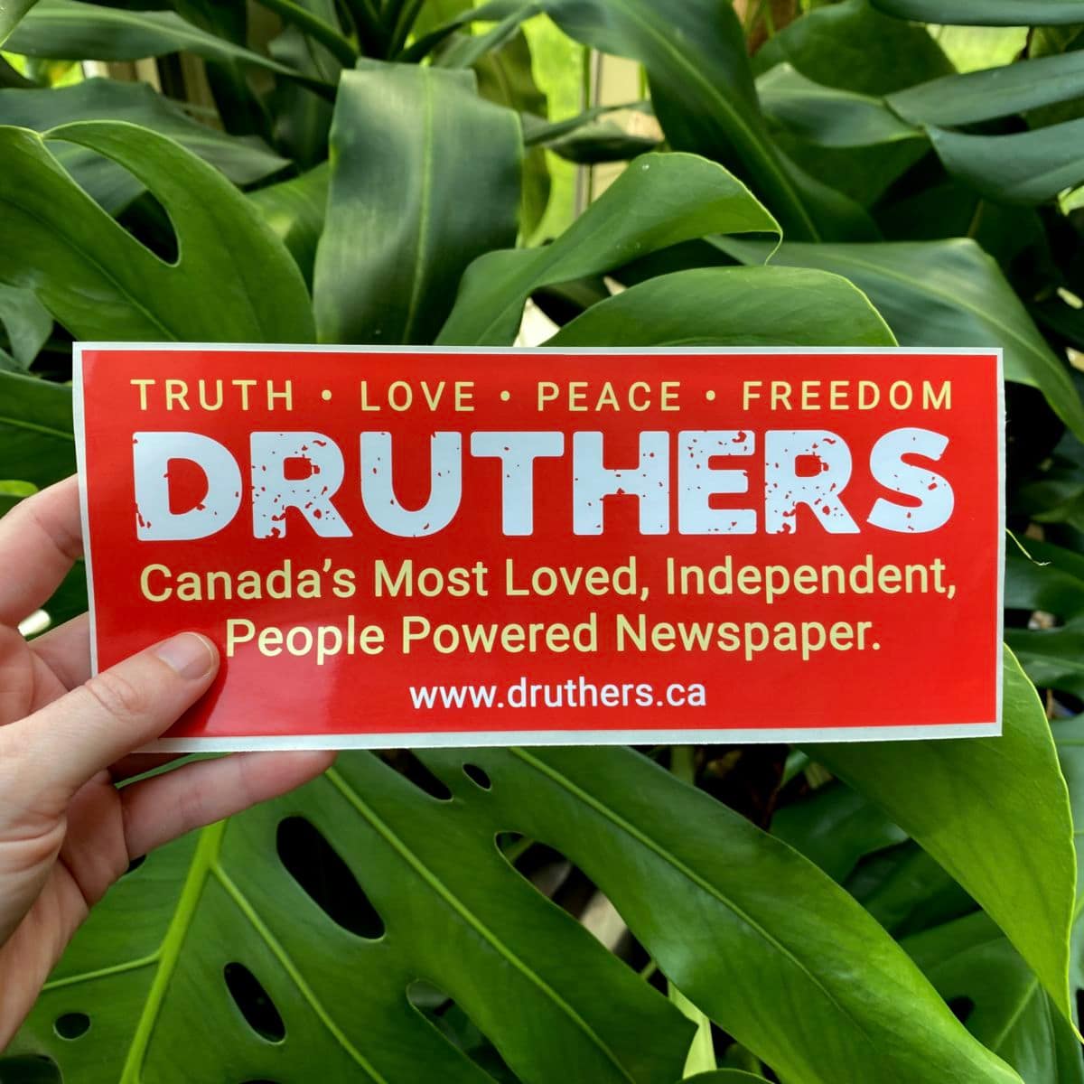 Druther Bumper Sticker