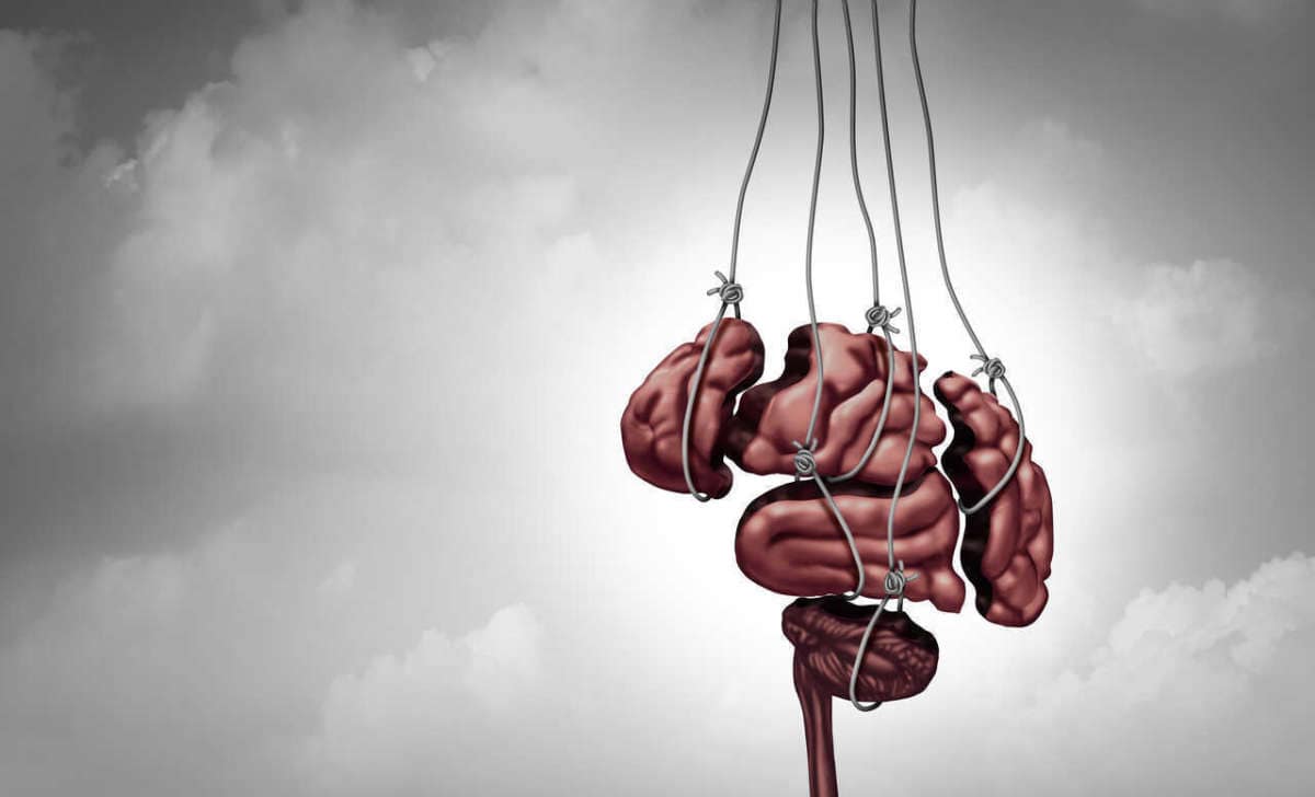 Manipulation,psychology,and,mind,control,or,brainwashing,the,human,brain