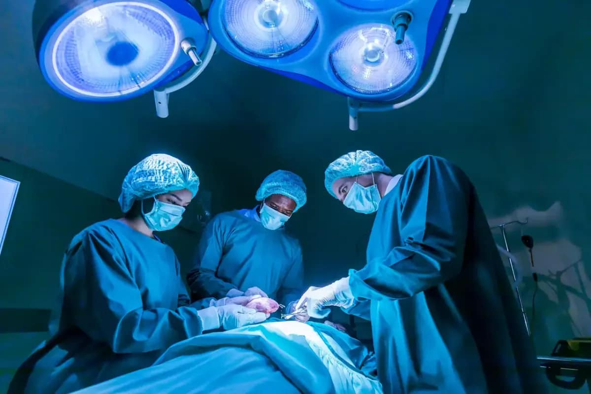 Organ Donation Life And Death