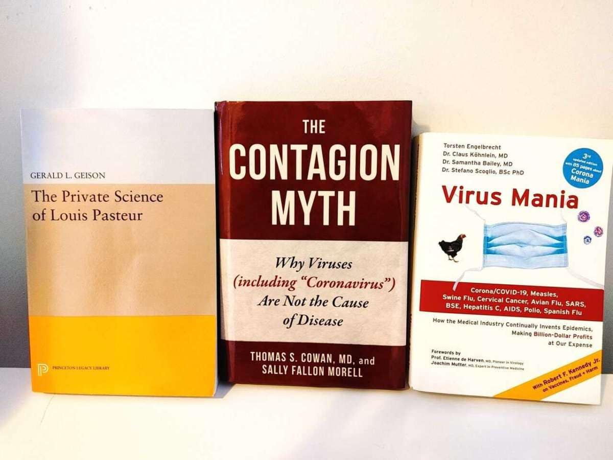 Do Viruses Actually Exist