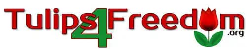 Tulips For Freedom An Individual Commitment
